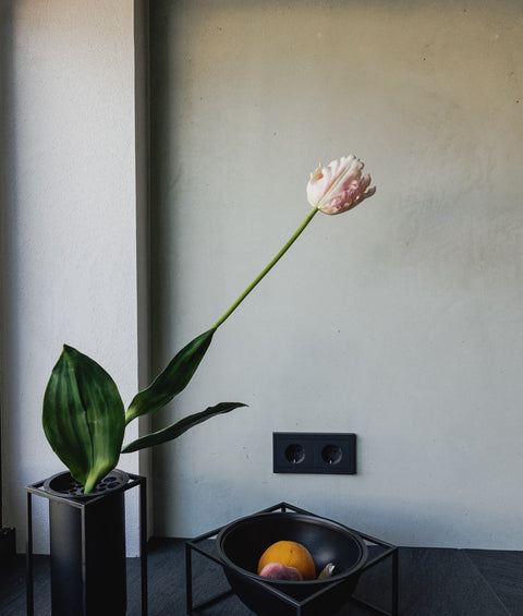 Mineralputz in der Küche, wasserfest versiegelt als Spritzschutz. Schwarze Arbeitsplatte mit rosa Tulpe