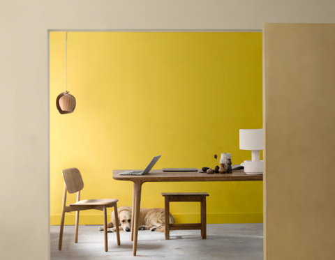 Intensiv ockergelbe Wand mit natürlicher, wohngesunder Wandfarbe – kombiniert mit neutraler Wandfarbe. Ein Esstisch in schlcihtem Holzdesign