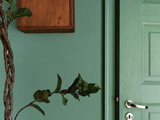 Eine Kassettenzimmertür und eine Wand sind in einem gleichen erdigen grünen Farbton gestrichen.