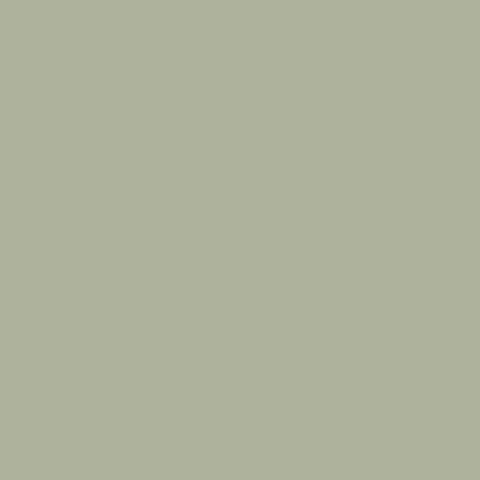 Pistazie Farbe