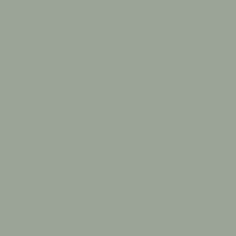 Salbei Farbe